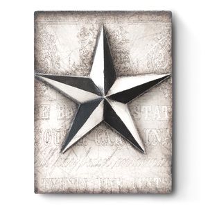 Sid Dickens T-471 ~ Nautical Star